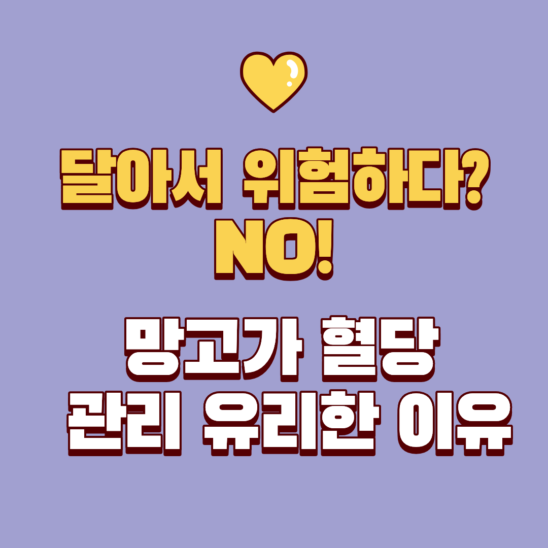 달아서 위험하다? NO! 망고가 혈당 관리에 오히려 유리한 과학적 이유