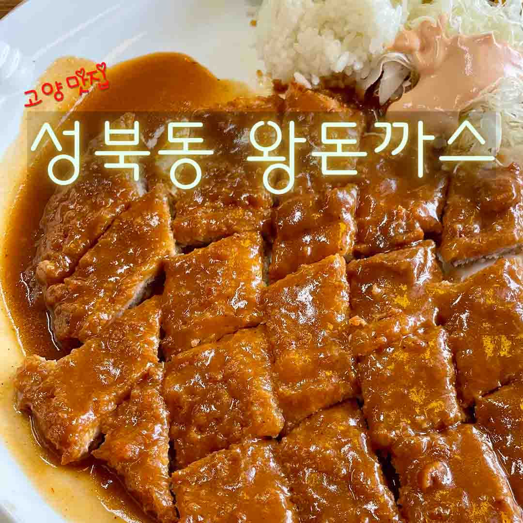 고양시 맛집 성북동 왕돈까스