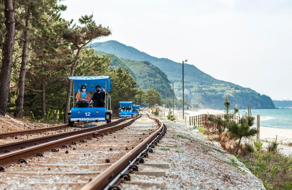 레일바이크 청도 정선 정동진 곡성