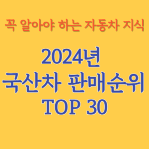 2024년 국산차 판매순위 TOP30