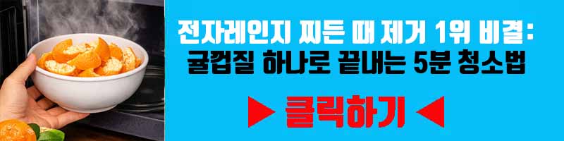 전자레인지 찌든 때 제거 1위 비결: 귤껍질 하나로 끝내는 5분 청소법