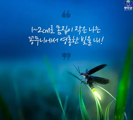 무주반딧불축제