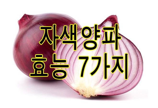 자색양파 효능 7가지