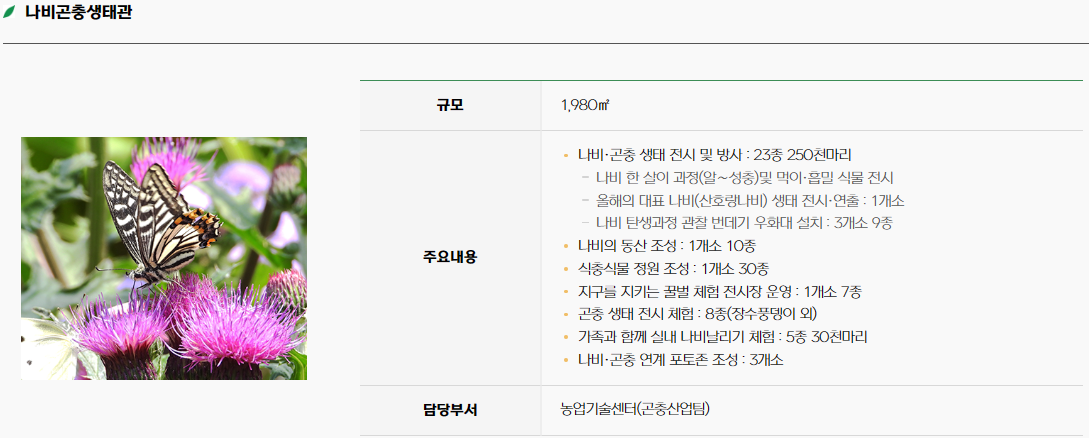 함평 나비 축제25