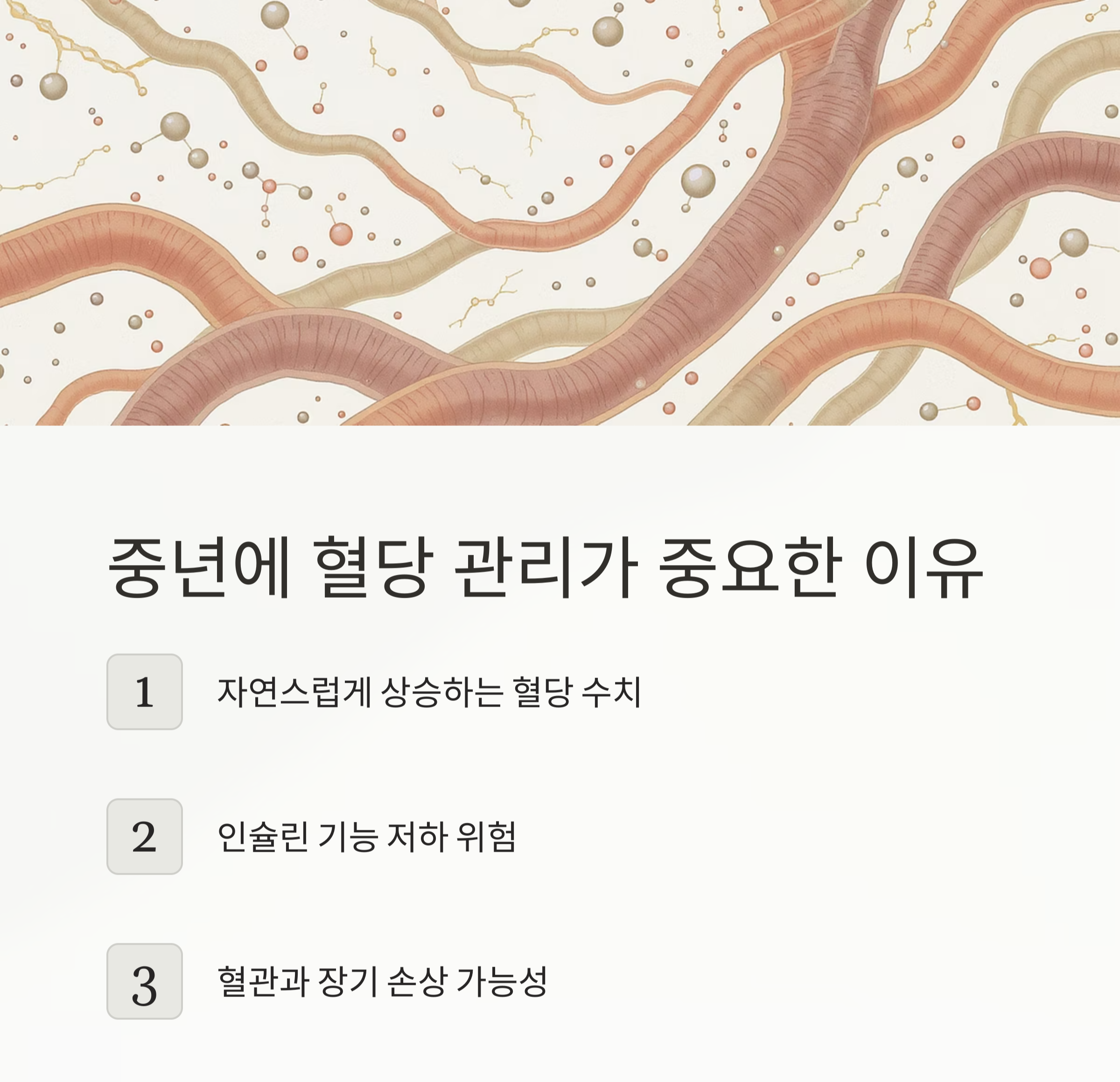 식후 혈당 조절, 중년이라면 꼭 알아야 할 관리 포인트