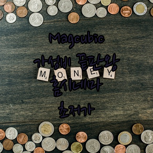 가성비 끝판왕 Magcubic 프로젝