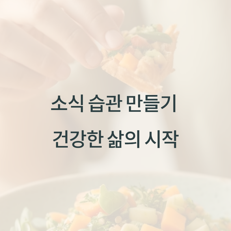 소식 습관 만들기: 건강한 삶의 시작