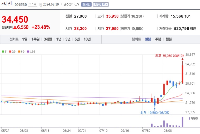 씨젠 주가 (8월4주)