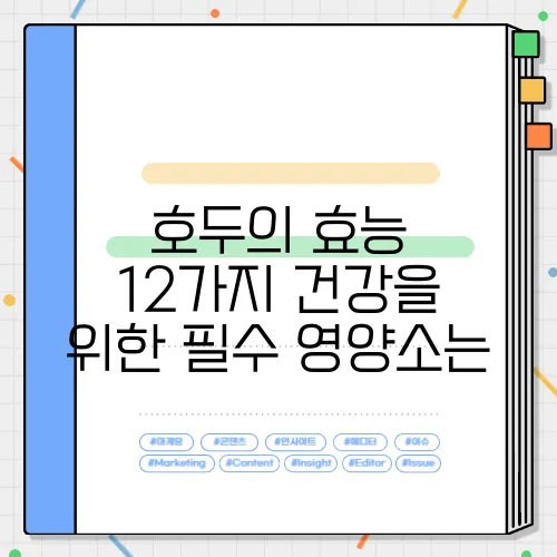 호두의 효능 12가지 건강을 위한 필수 영양소는