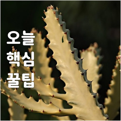 가리봉동 폐가구 버리기? 구로구 대형..