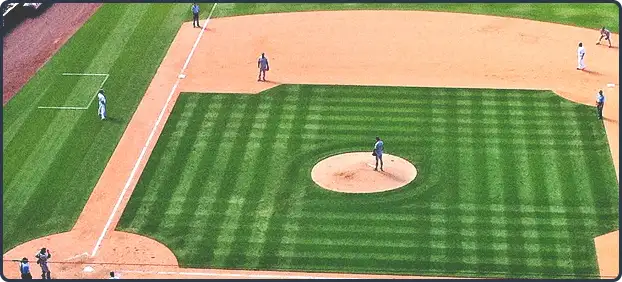 야구 한일전 생중계 방송 (+무료시청)