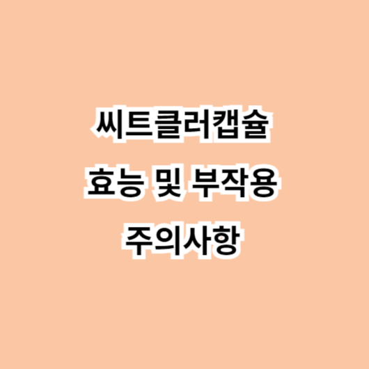 씨트클러캡슐-효능-부작용