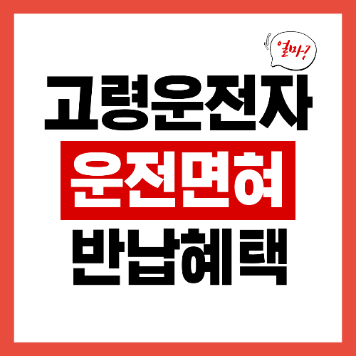 고령자 운전면허 반납 혜택