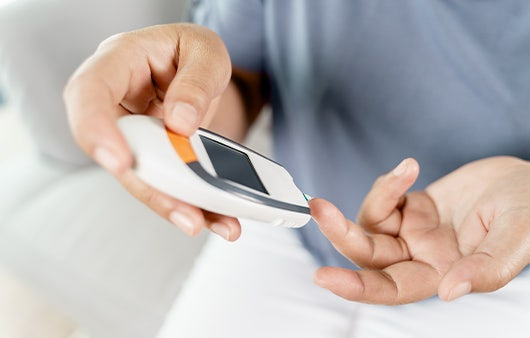 베르베린 혈당조절 심혈관건강 체중관리