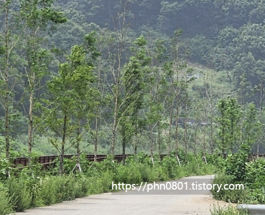 Alt 속성 문제 해결 설명 이미지