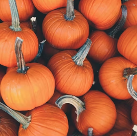 단호박 효능 부작용 영양성분 고르는법 칼로리