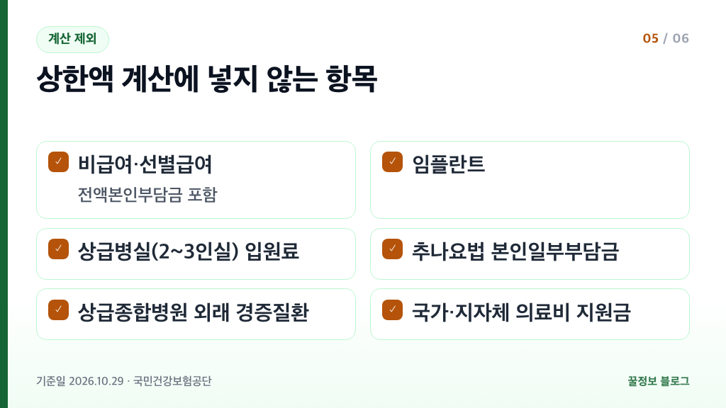 본인부담상한제 상한액 계산 제외 항목 비급여 임플란트 상급병실 추나요법 정리
