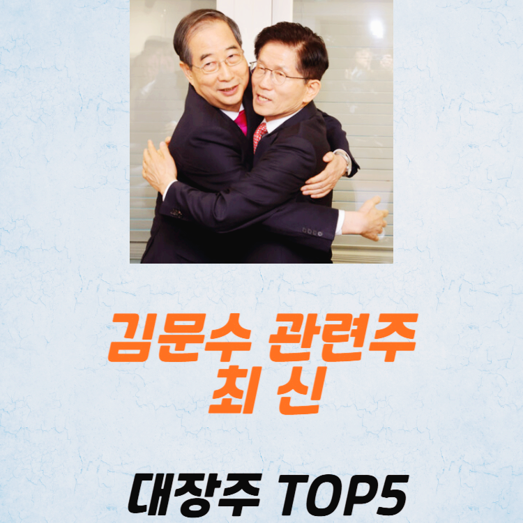 김문수 관련주 대장주 TOP5