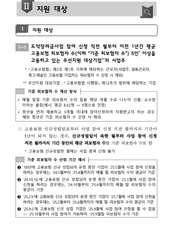 2025년 청년일자리 도약장려금