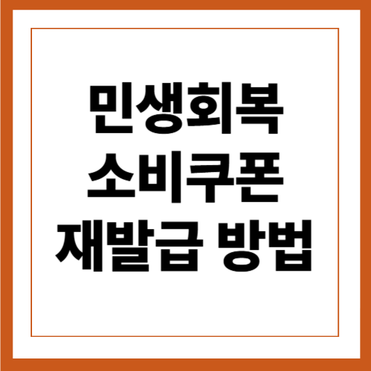 민생회복 소비쿠폰 재발급 방법