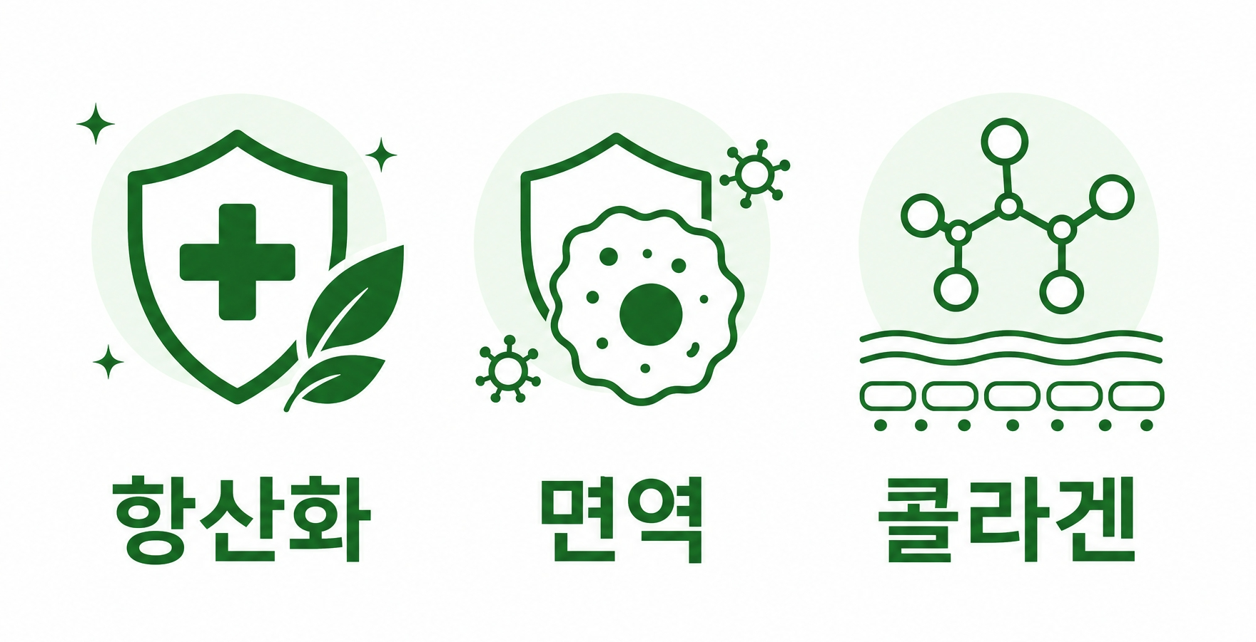 비타민C-메가도스-효과-항산화-면역-콜라겐