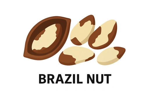 브라질너트