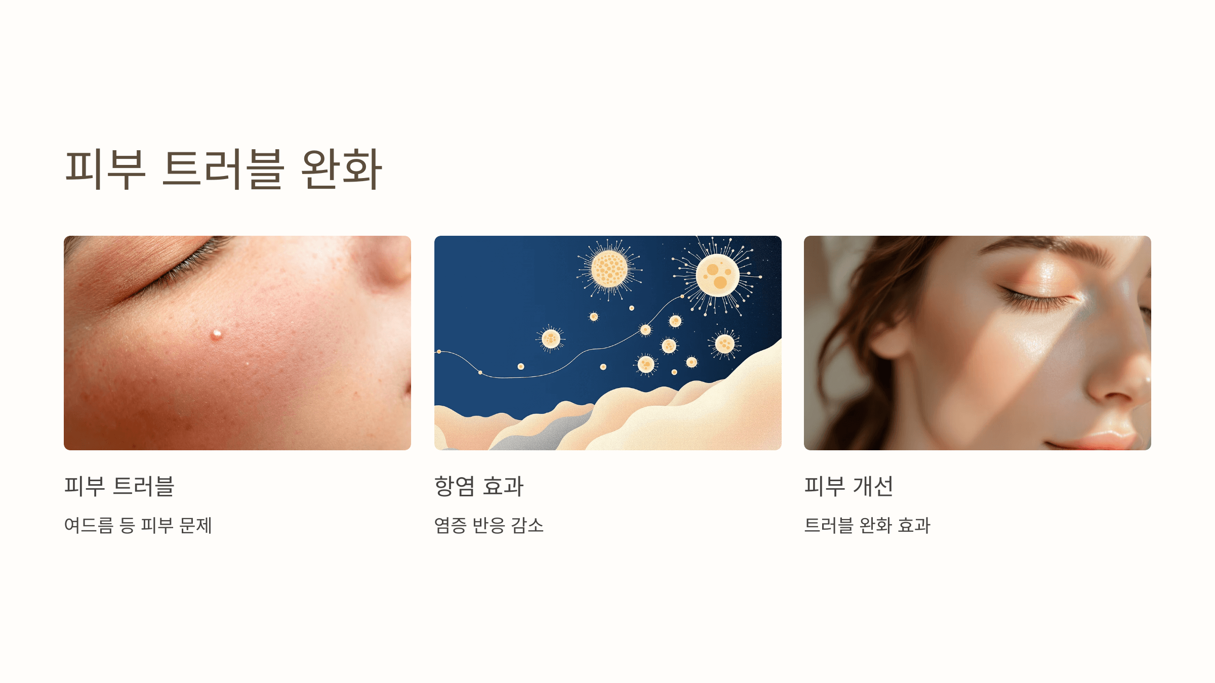 난각막 사진입니다.