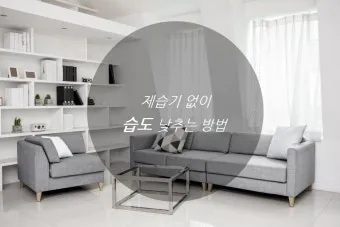 제습기 없이 습기 제거 끝 숯 염화칼슘 등 천연 제습제 활용법 완벽 가이드_29