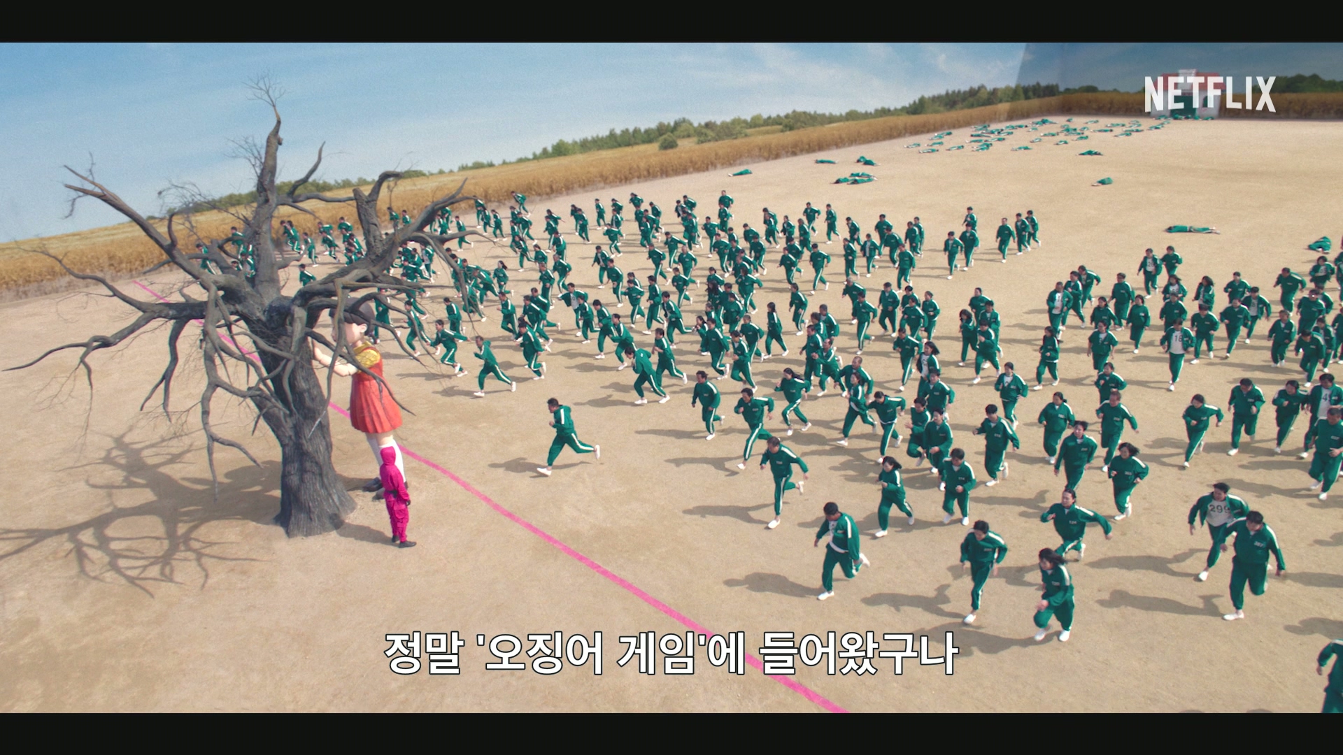 오징어 게임