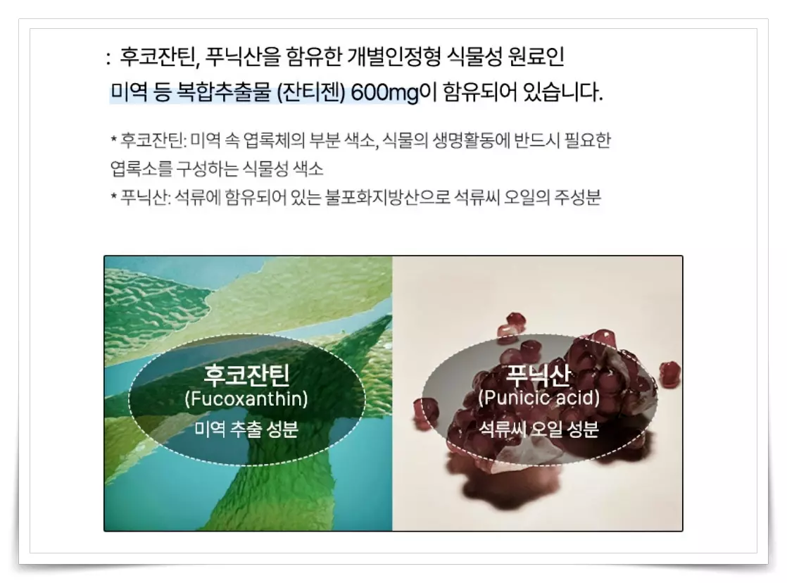 잔티움 나이트버닝 후코잔틴, 푸닉산 잔티젠 효과