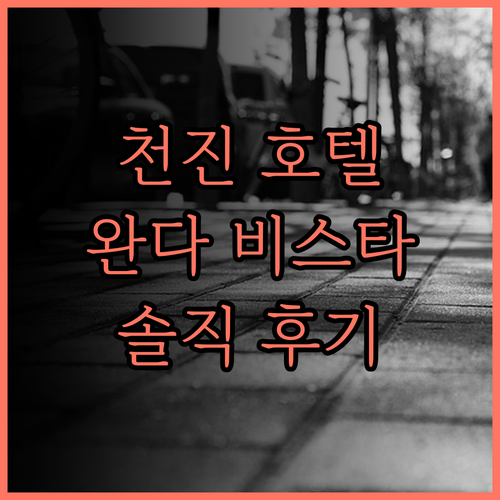 천진 푸리 완다 비스타 호텔 후기 톈