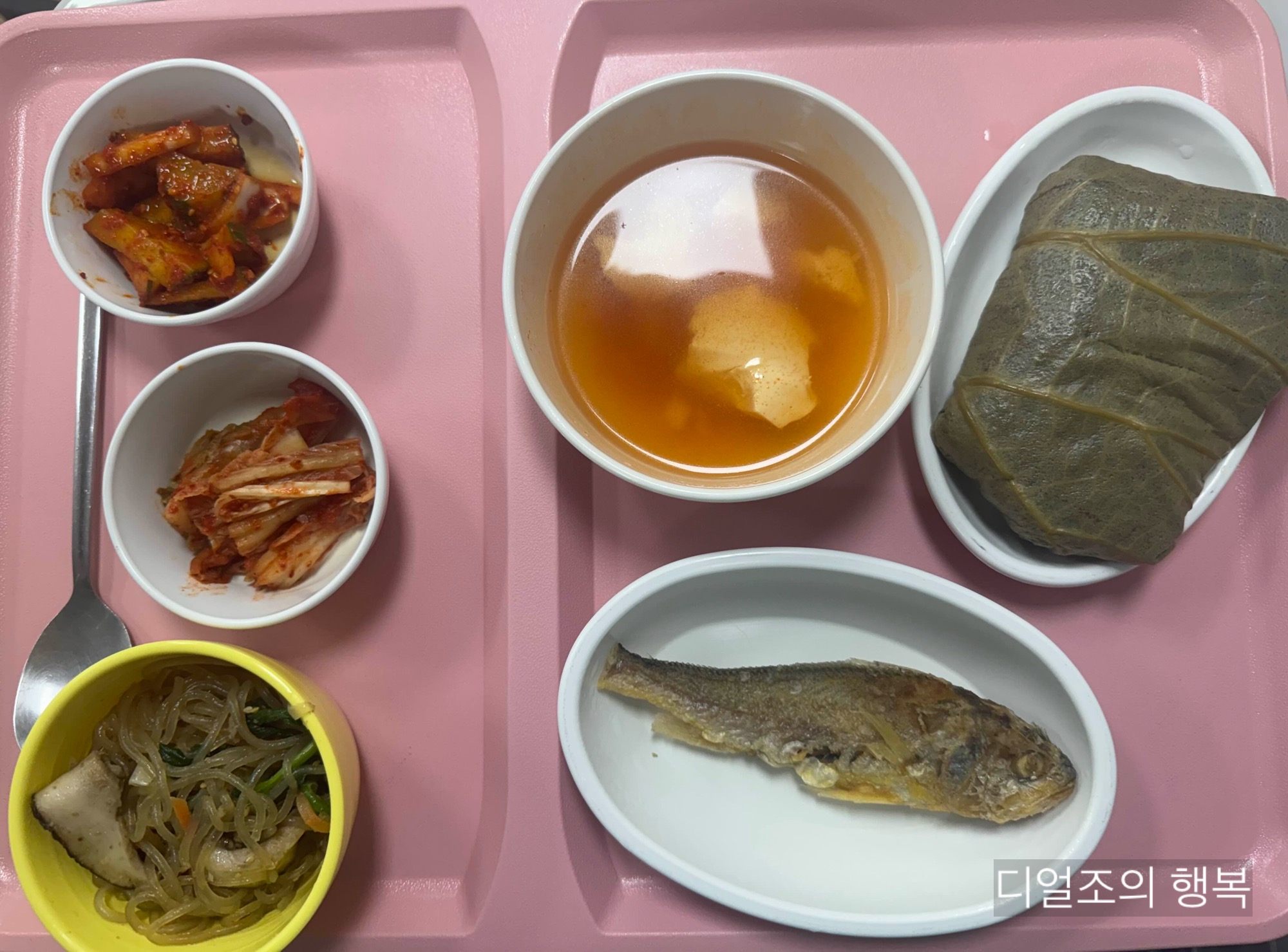 목포솔튼병원입원