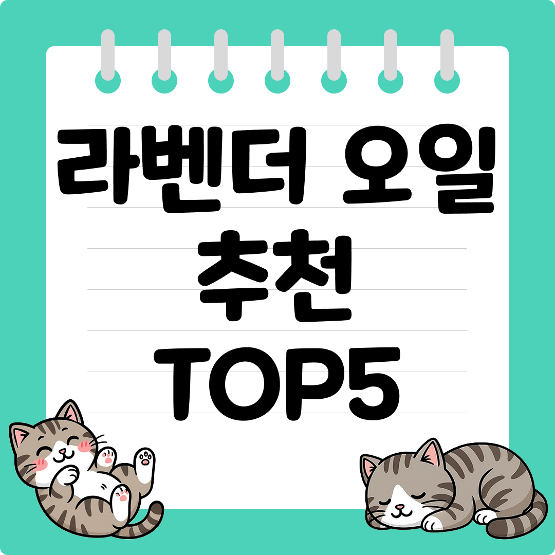 은은한 향으로 일상에 쓰기 좋은 라벤더 오일 추천 순위 TOP5