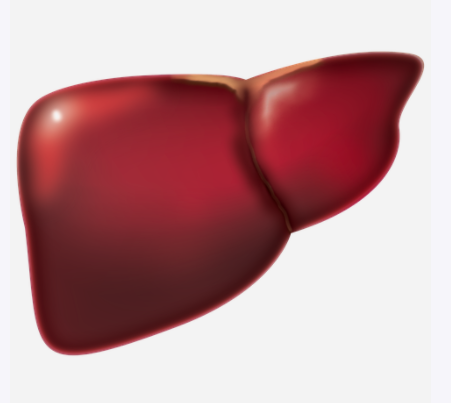 간수치가 올라가는 이유