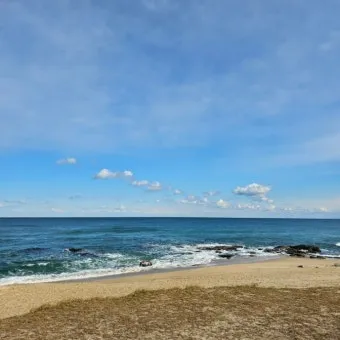 강릉 맛집 추천 여행코스에 포함하기 좋은 식당 리스트_19