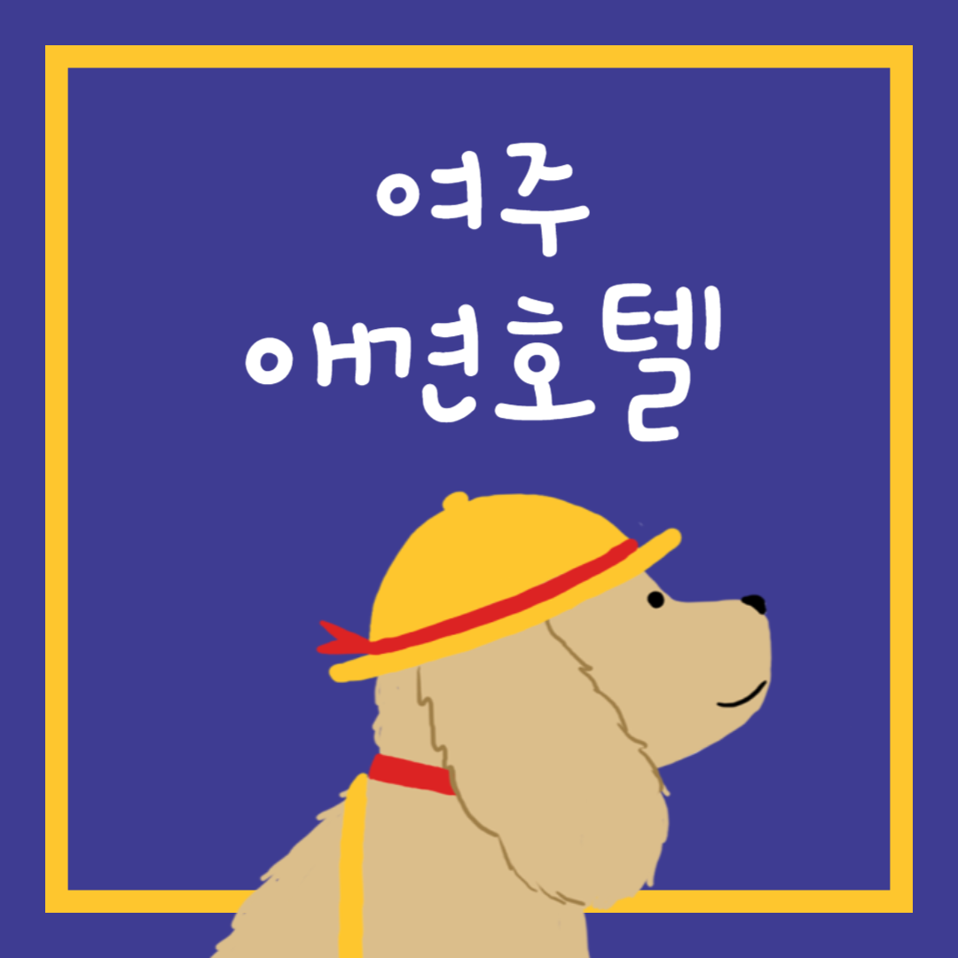 여주 애견호텔