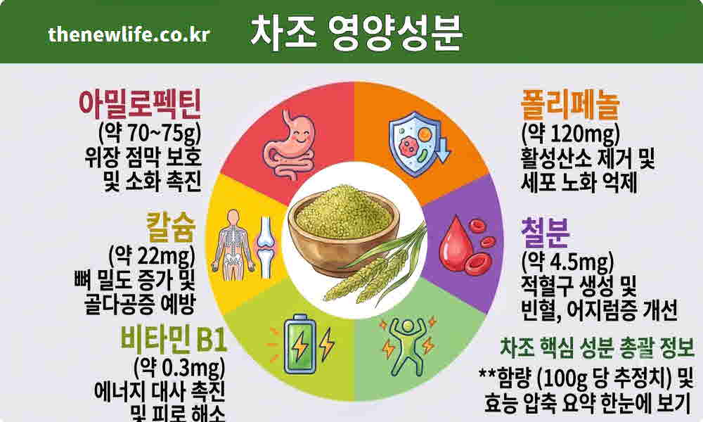 차조 효능 영양성분