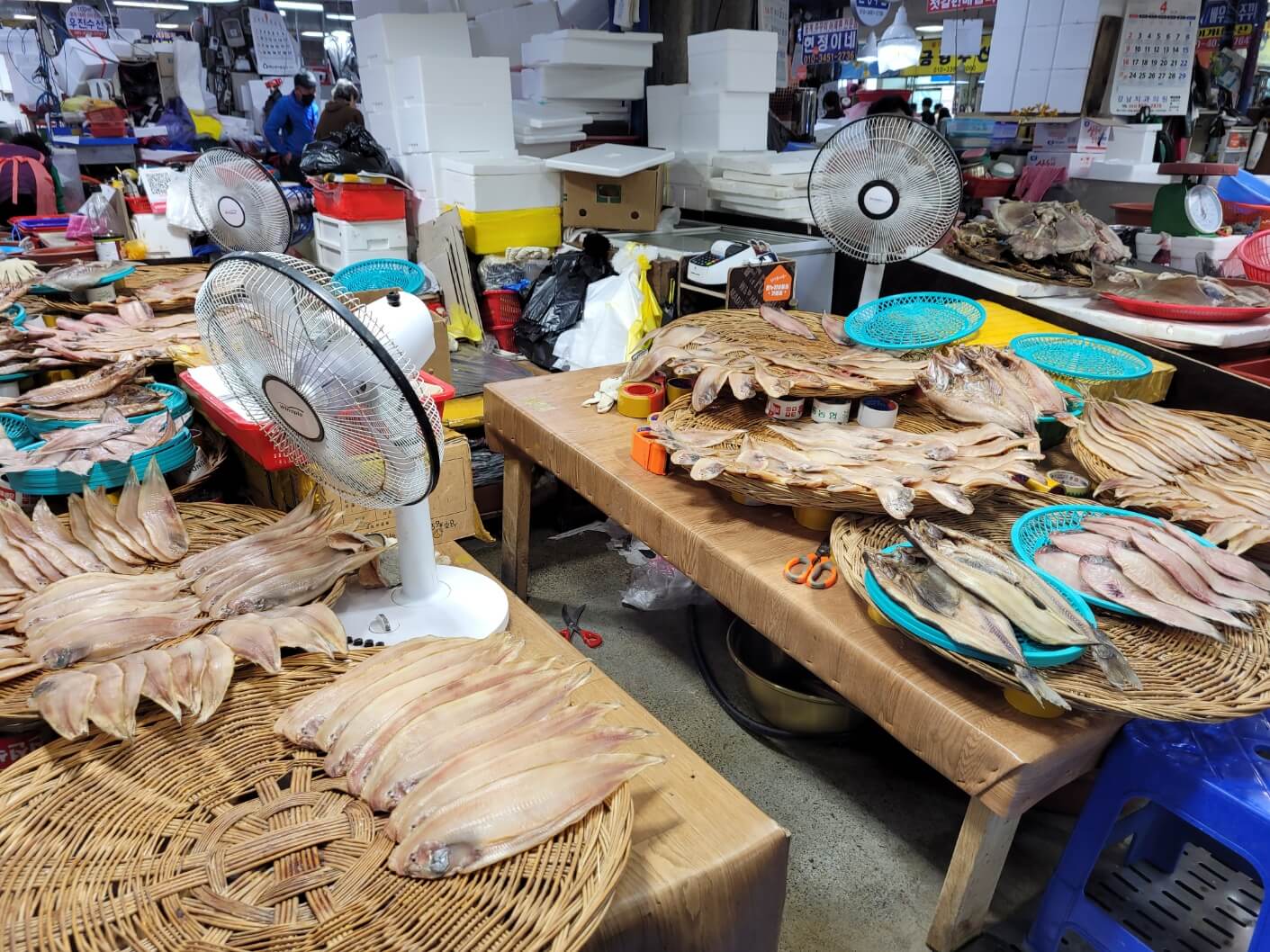 박대같은 건조생선