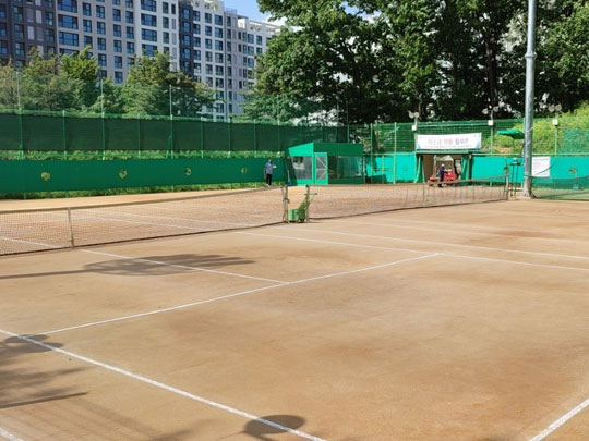 강남 개포동 포이테니스장 일일 입장 대관 레슨 수강 신청 프로그램 가격 요일 날짜 시간