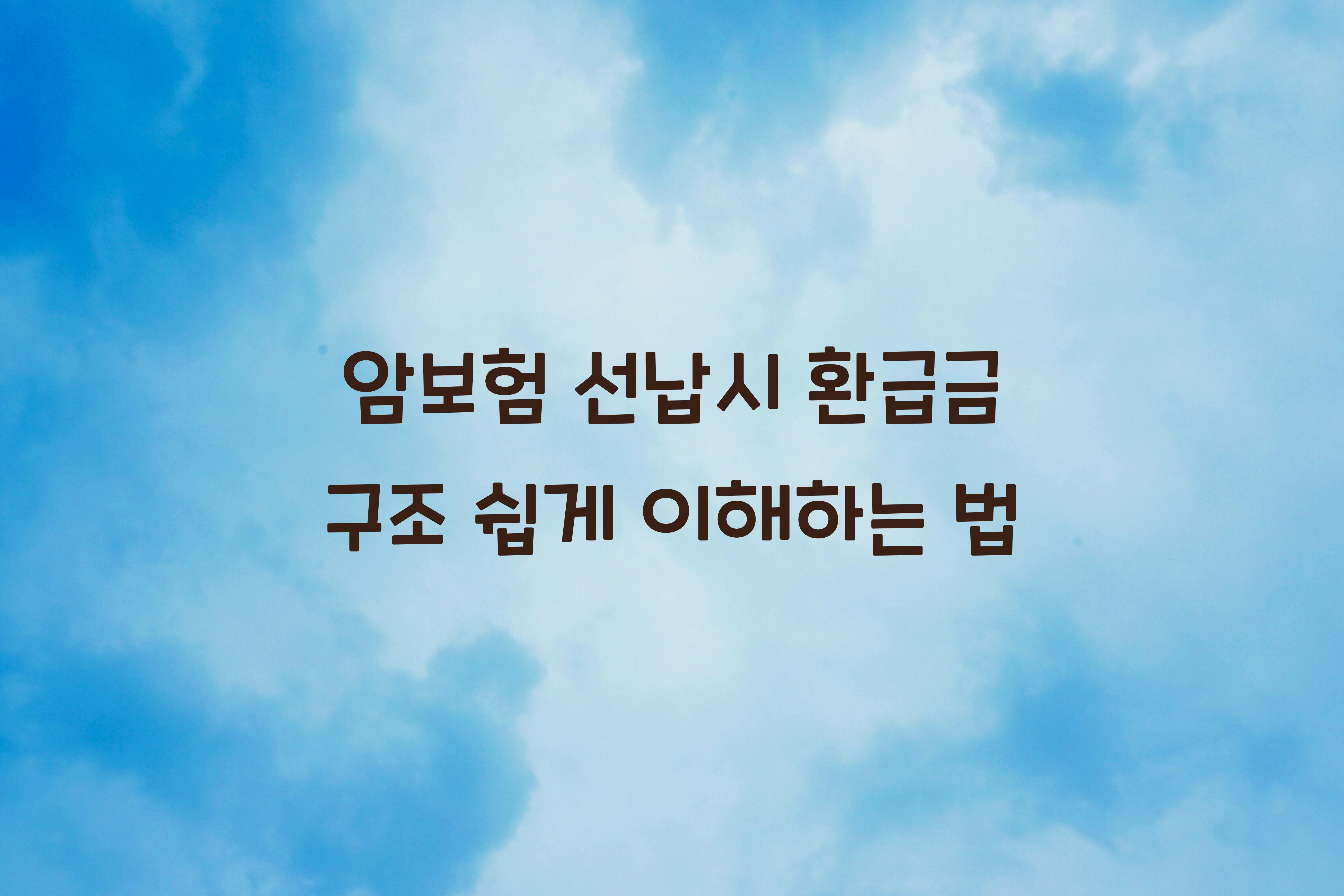 암보험 선납시 환급금 구조