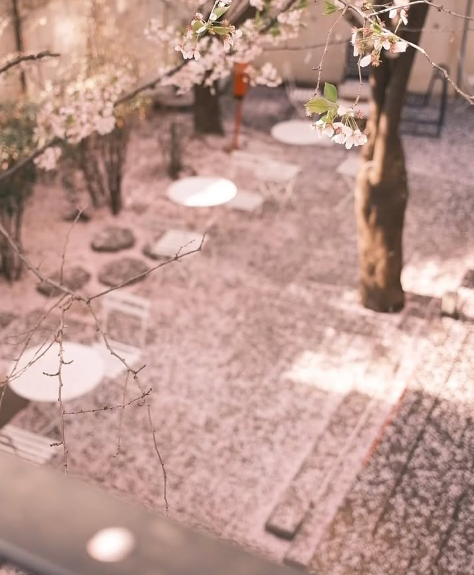 합정-망원-숨은-감성-벚꽃-카페-7-인스타-위치-예약-주차