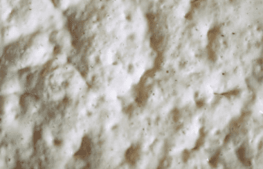 맥주효모의 효능 11가지, 부작용