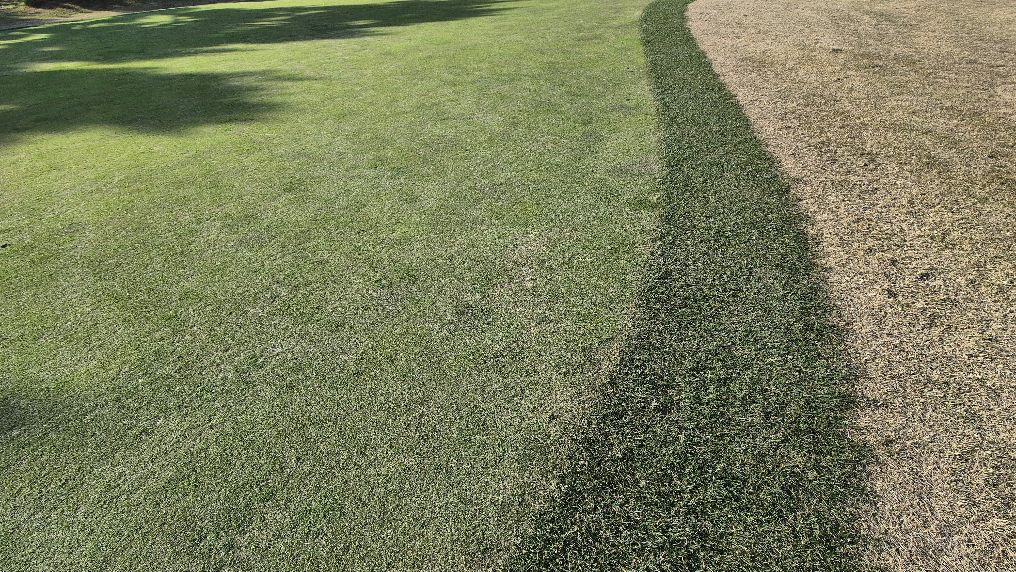 세종에머슨cc 밸리-마운틴 그린관리상태