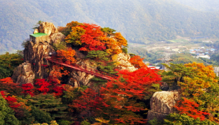 대둔산 등산코스