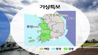 강풍 예비특보 낙과 낙하물 창문 고정 집안 대비법_2