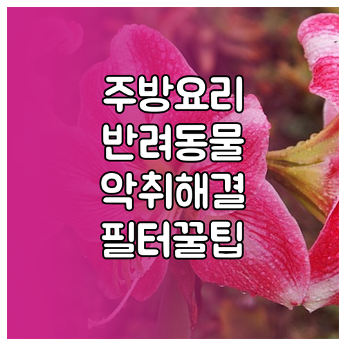 주방 요리 냄새와 반려동물 악취 해결..