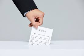 2025년 대통령 선거 이색 투표소