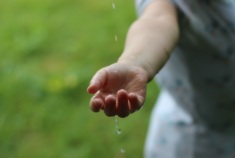 건강도 지구도 생각하는 지속 가능한 먹거리