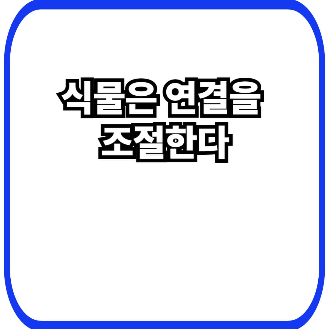 식물 연결 조절 전략에서 시작되는 생존 설계, 모두와 이어지지 않는 선택의 이유