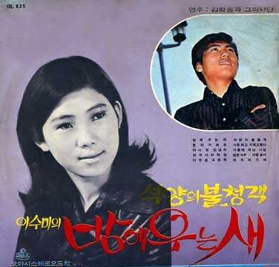 이수미---밤에-우는-새